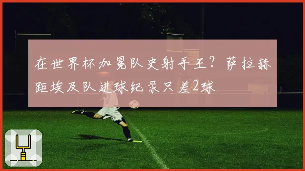 在世界杯加冕队史射手王?萨拉赫距埃及队进球纪录只差2球