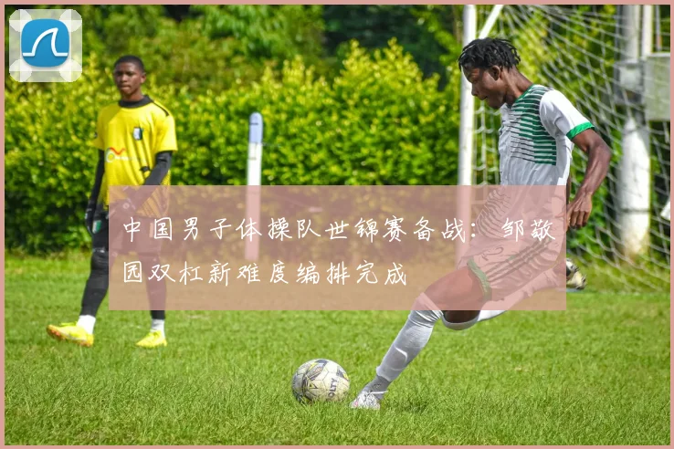 中国男子体操队世锦赛备战:邹敬园双杠新难度编排完成